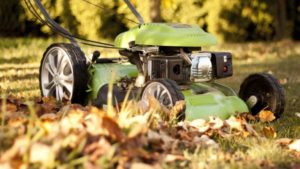 Lawnmower and leaves