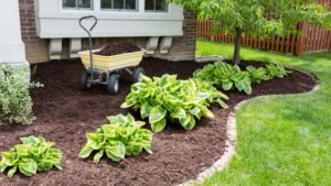 Mulching a landscaped yard