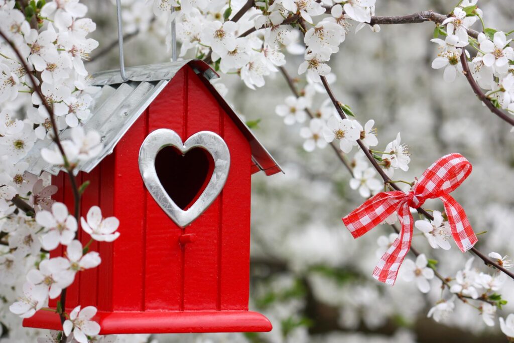 Birdhouse in winter