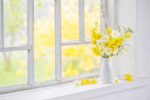 Flowers on the windowstill