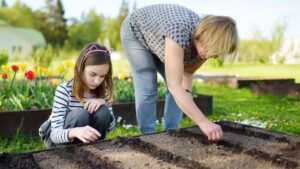 Planting a garden