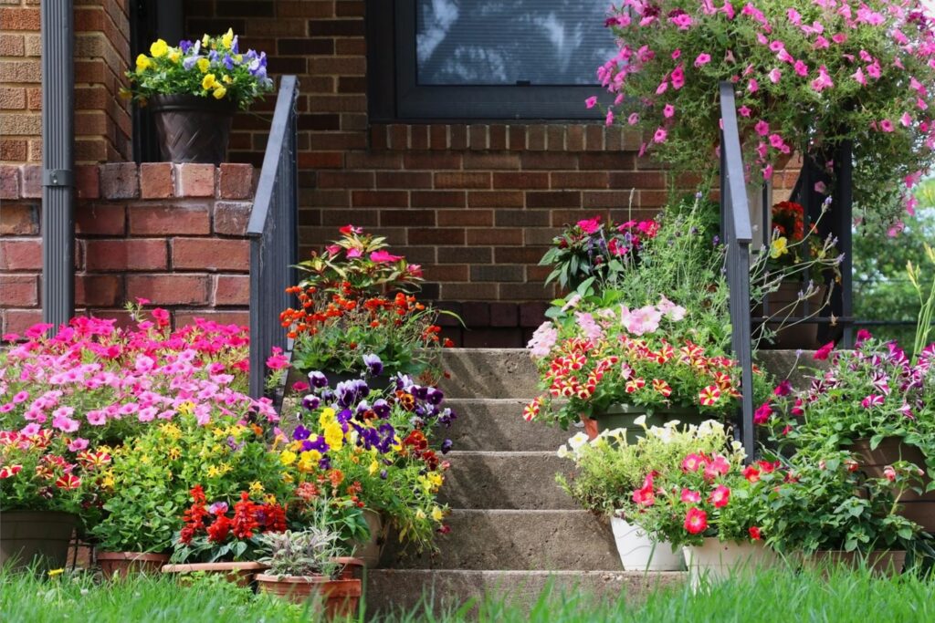 Flowers on a front porch