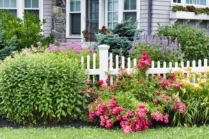 Flowers along fence