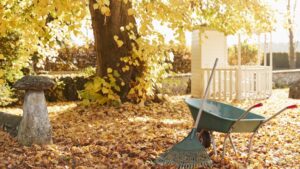 Raking leaves