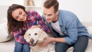 Dog with family