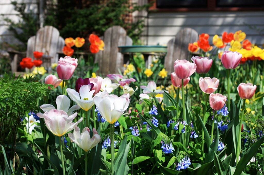 May flowers